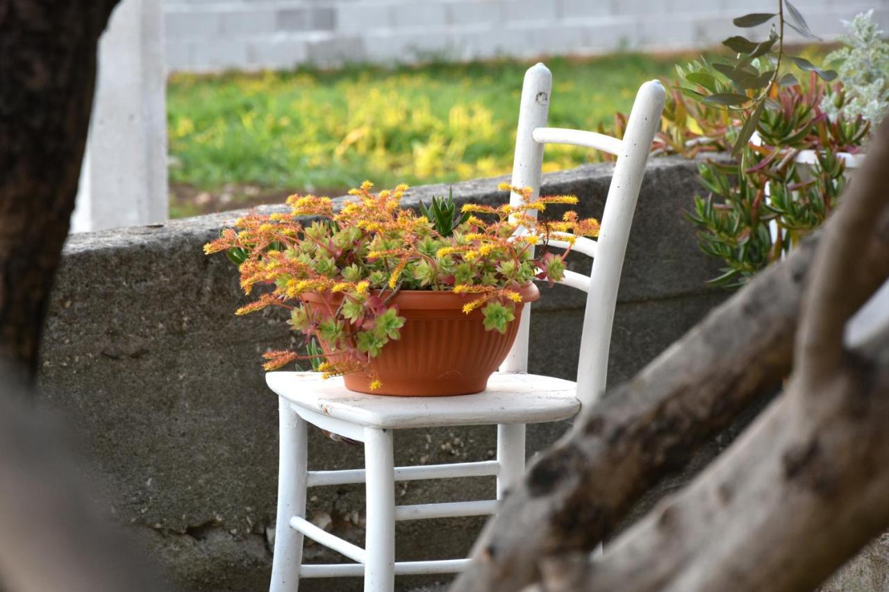 Greenvine Apartment 扎达尔 外观 照片